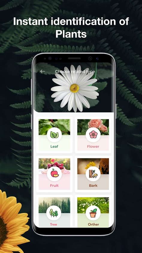 plantsnap gratis|free android plant identifier app.